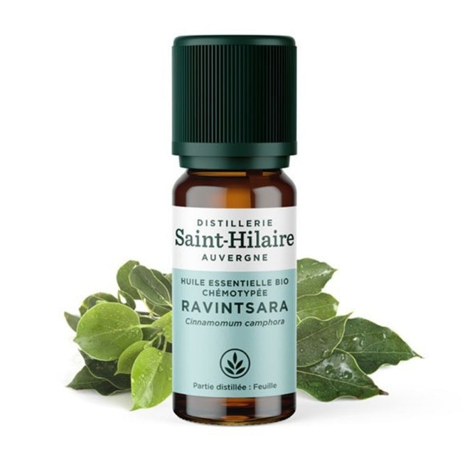 Huile Essentielle Ravintsara Bio - Nuoo
