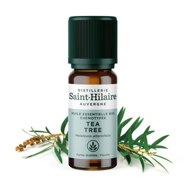Huile Essentielle de Tea Tree - Nuoo